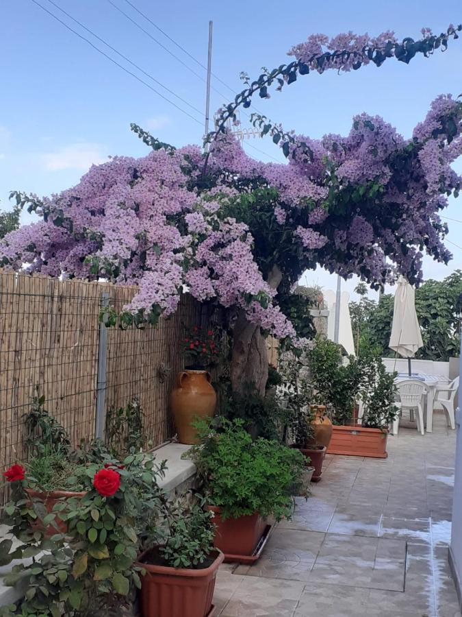 Casa Antonia Leilighet Anacapri  Eksteriør bilde