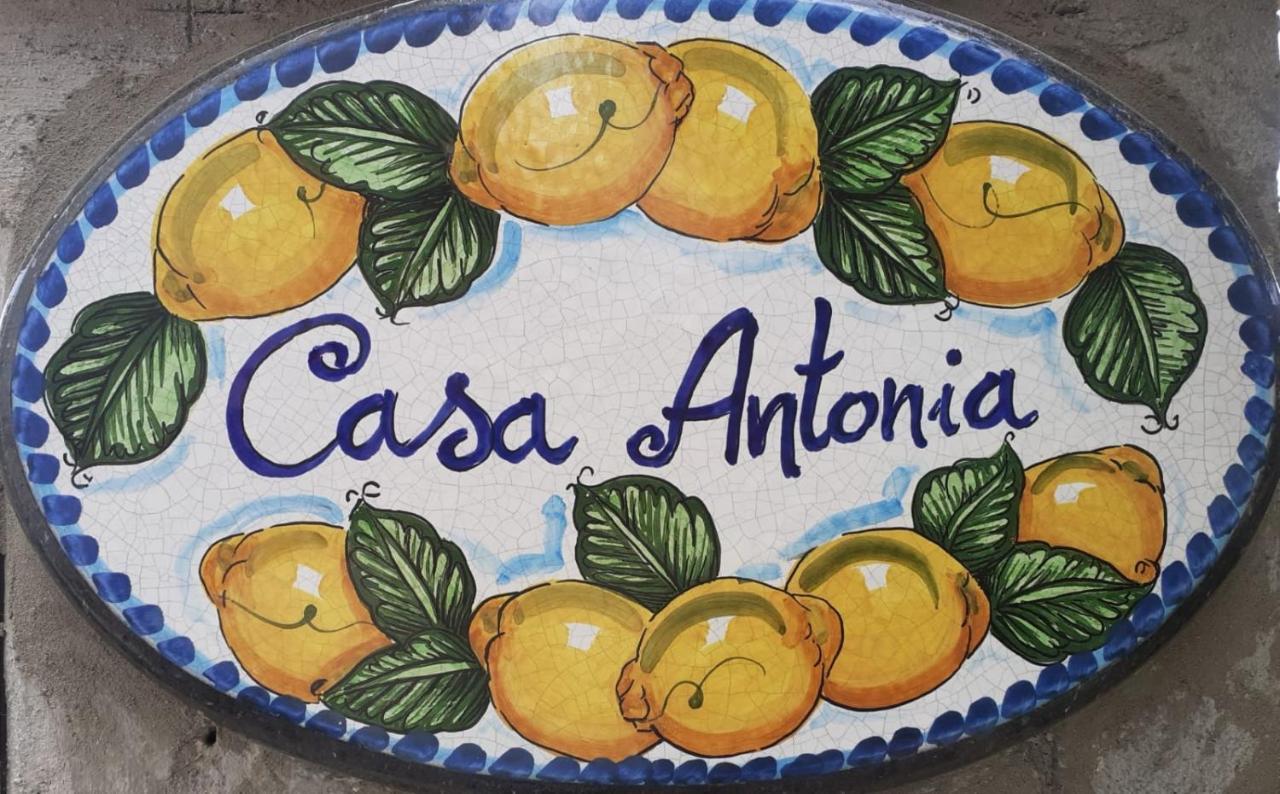 Casa Antonia Leilighet Anacapri  Eksteriør bilde